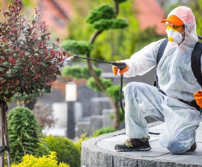 Pest Control & Plant Protection